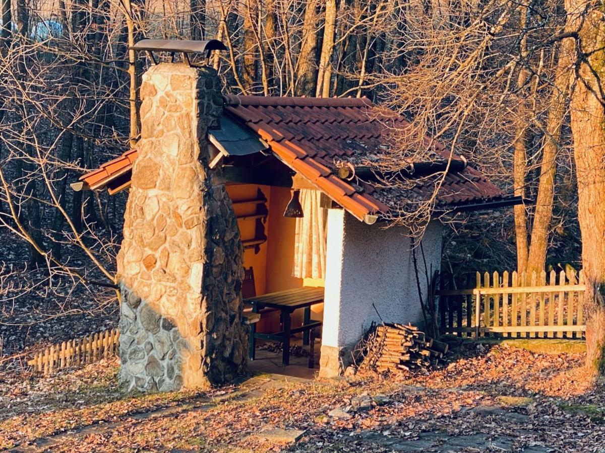 Gartenwohnung Im Gut Sonnenwald Schöllnach Buitenkant foto